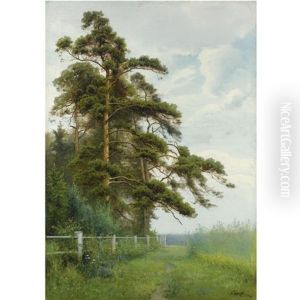 The Edge Of The Forest