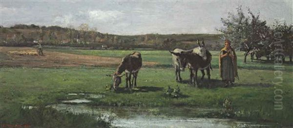 Anes Au Paturage - view 1