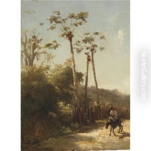 Paysage Des Antilles, Cavalier Et Ane Sur Un Chemin Paysage Des Antilles, Cavalier Et Ane Sur Un Chemin
