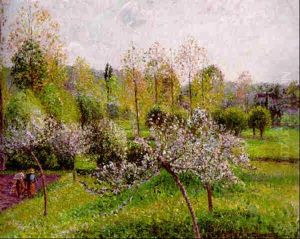 Pommiers En Fleurs, Eragny