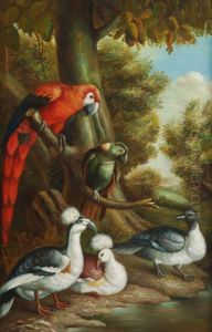 Parrots And Other Exotic Birds by Jakob Bogdani Eperjes C