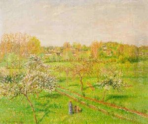 Matin, Pommiers En Fleurs A Eragny
