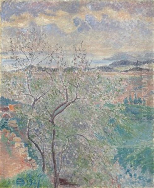 L'amandier De L'averne, Bormes - view 1