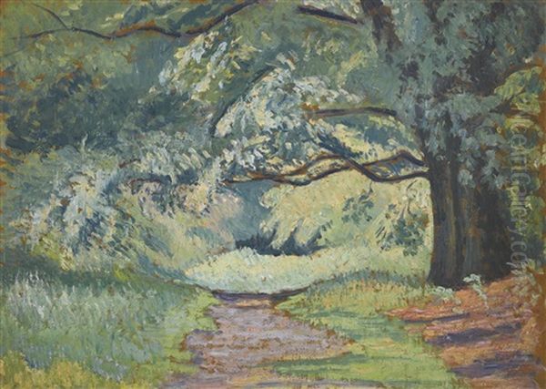 Path In Epping Forest - view 1