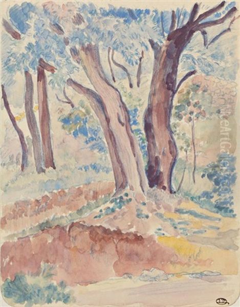 In The Woods - view 1