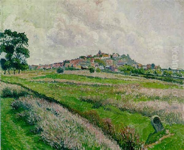 Rye Form Cadborough, Cloudy Morning - view 1