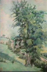 The Sycamore, Fishpond