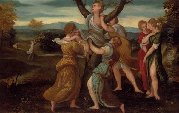 The Birth Of Adonis - view 1
