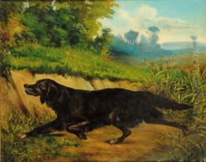 Cane Entro Paesaggi by Carlo Pittara