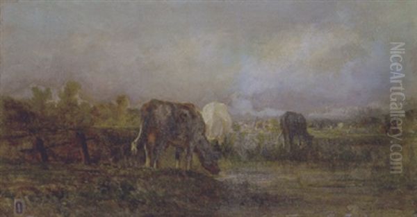 Mucche Al Pascolo - view 1