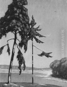 Zwei Baume Vor Seelandschaft