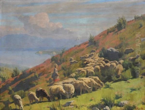 Moutons Au Bord Du Lac - view 1