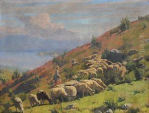 Moutons Au Bord Du Lac