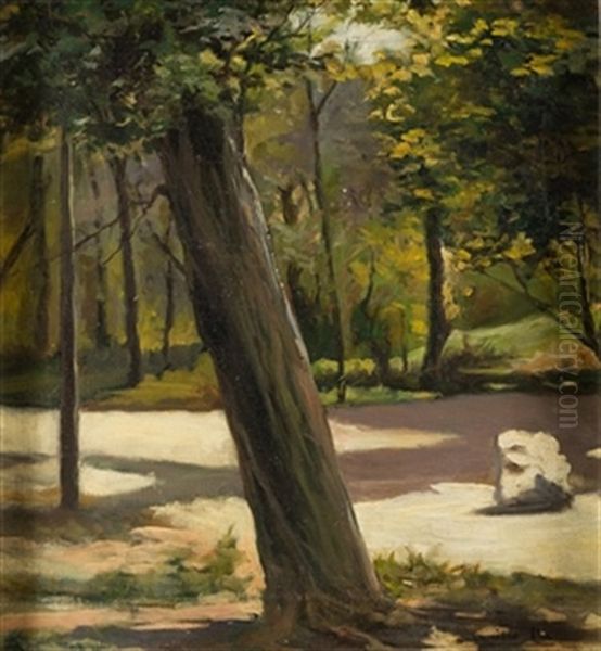 Arbol En El Parque - view 1