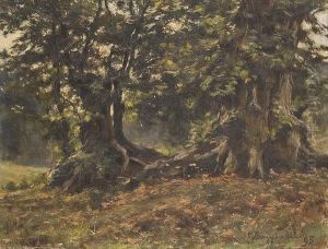 Alberi Nel Bosco by Guido Boggiani