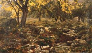 Paesaggio Boschivo by Guido Boggiani