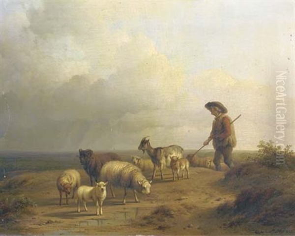 A Shepherd And His Flock - view 1