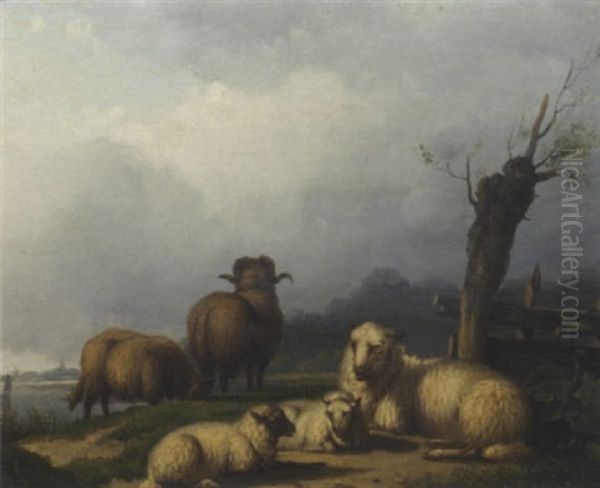 Sheep On A Riverbank - view 1