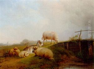Sheep And Goats In A Dutch Landscape by Pieter Plas