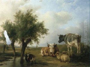 Vieh Auf Der Weide Vieh Auf Der Weide