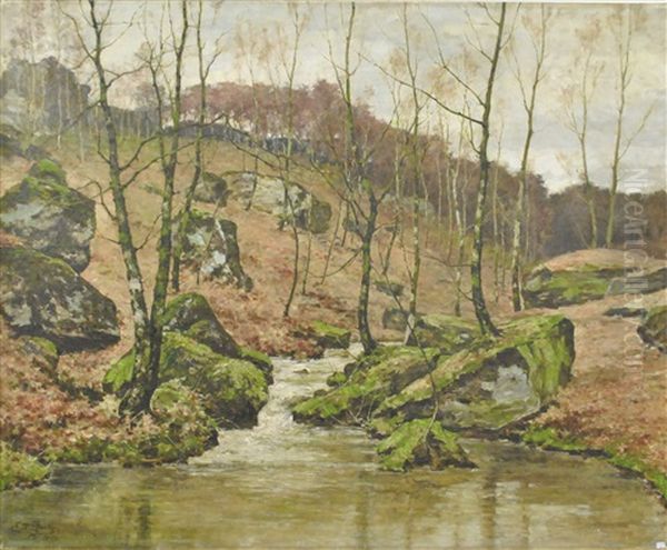 Ruisseau - view 1