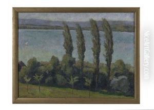 Lake Scene Through Poplars