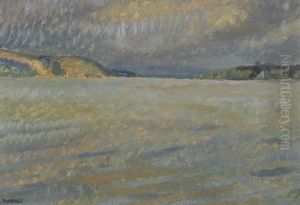 Murtensee Mit Bedecktem Himmel Murtensee Mit Bedecktem Himmel