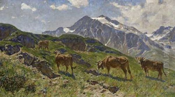 Rinder Im Hochgebirge - view 1