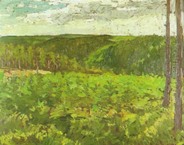 Schonbuchlandschaft Im Fruhling - view 1