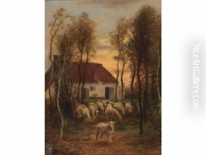 Sheep By Home Sheep By Home