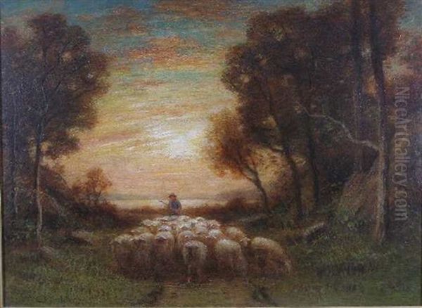 Sheep At Dusk - view 1