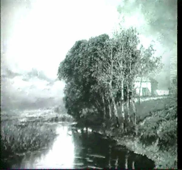 Flusslandschaft Mit Enten - view 1