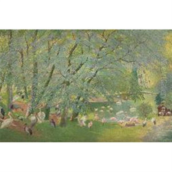 Flamingos Im Stadtgarten - view 1
