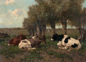 Rustende Koeien Onder De Wilgenbomen