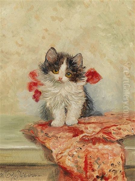 The Little Angora Cat Lassty - view 1