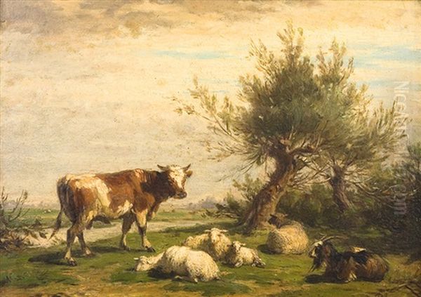 Vache, Bouc Et Moutons - view 1