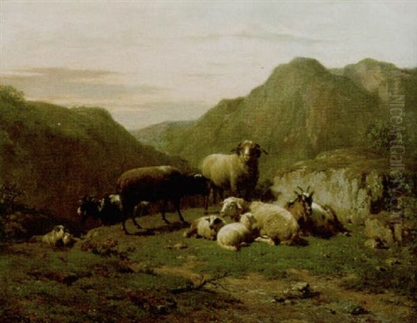 Landschap Met Schapen En Geiten - view 1