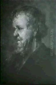 A Bearded Man by Karel van der Pluym