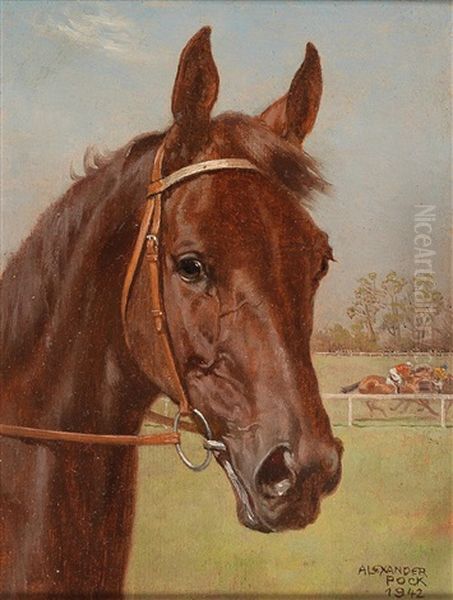 Bay Racehorse - view 1