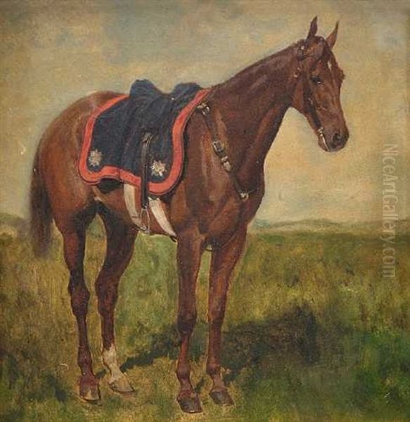 Gesatteltes Pferd - view 1
