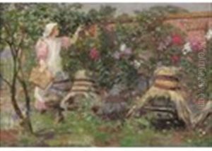Apple Picking