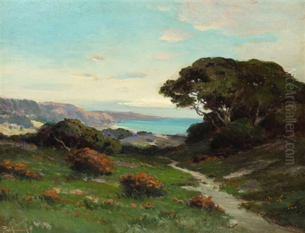 Path Overlooking Ocean - view 1