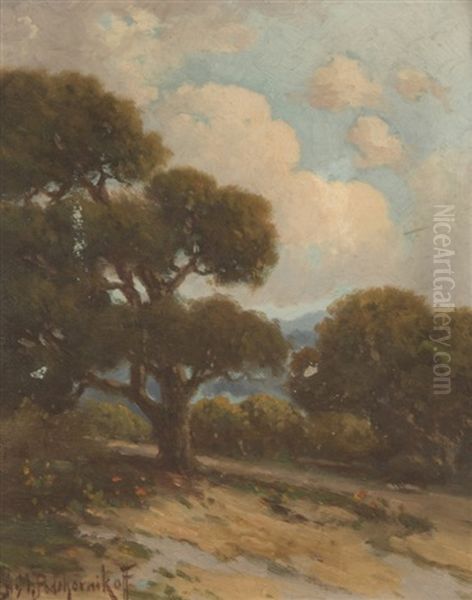 Oak Tree In A California Landscape - view 1