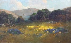 Wildflowers With Mountain Vista by Alexis Matthew Podchernikoff