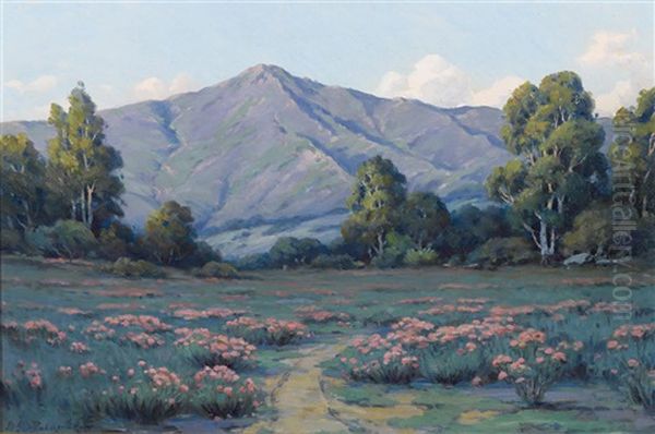 A Field Of Blooming Phlox - view 1