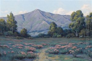 A Field Of Blooming Phlox by Alexis Matthew Podchernikoff