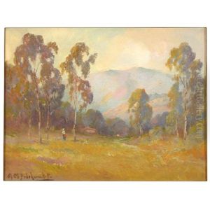 Eucalyptus Trees In Field