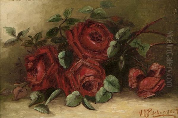 Red Roses - view 1
