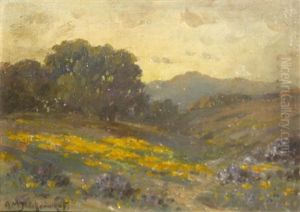 Wildflowers On Rolling Hills