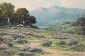 Wild Everlasting (santa Barbara) by Alexis Matthew Podchernikoff